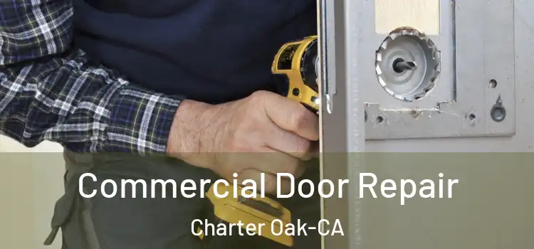  Commercial Door Repair Charter Oak-CA