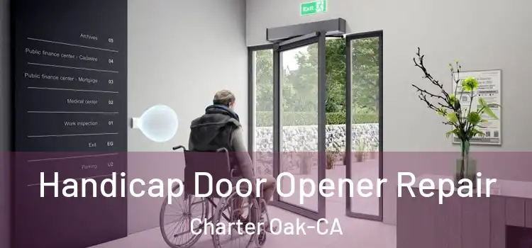  Handicap Door Opener Repair Charter Oak-CA